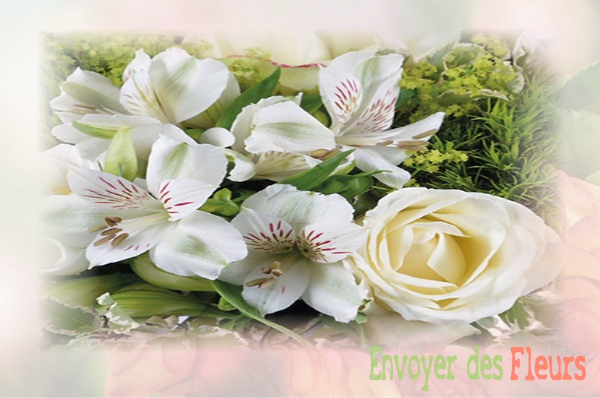 envoyer des fleurs à à SAINT-JEAN-LE-VIEUX